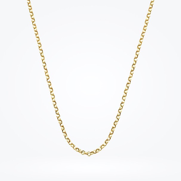 Altın Erkek Zincir - Baroni Diamond (1)